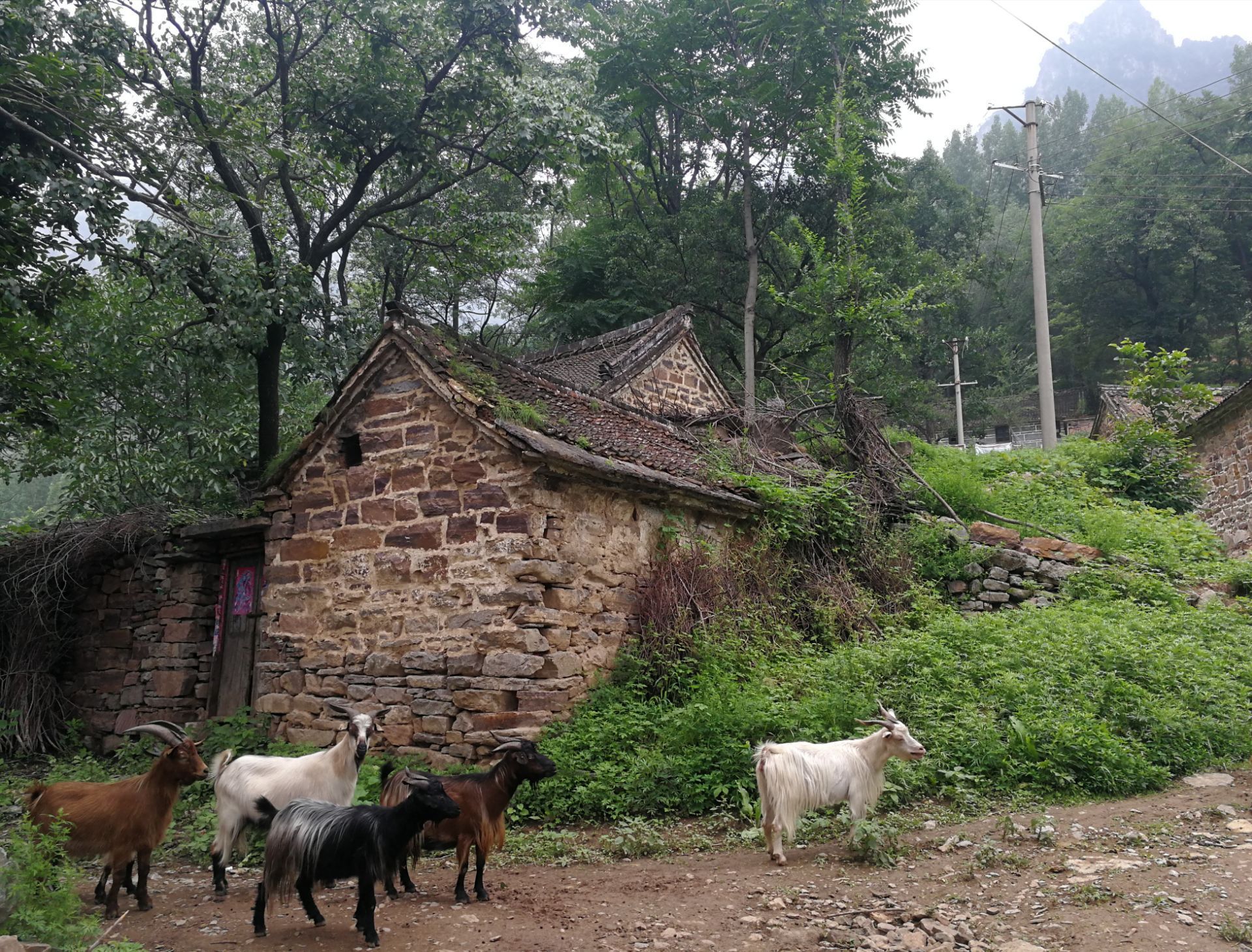 罗姐寨风景区