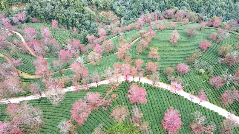 昆明旅游网