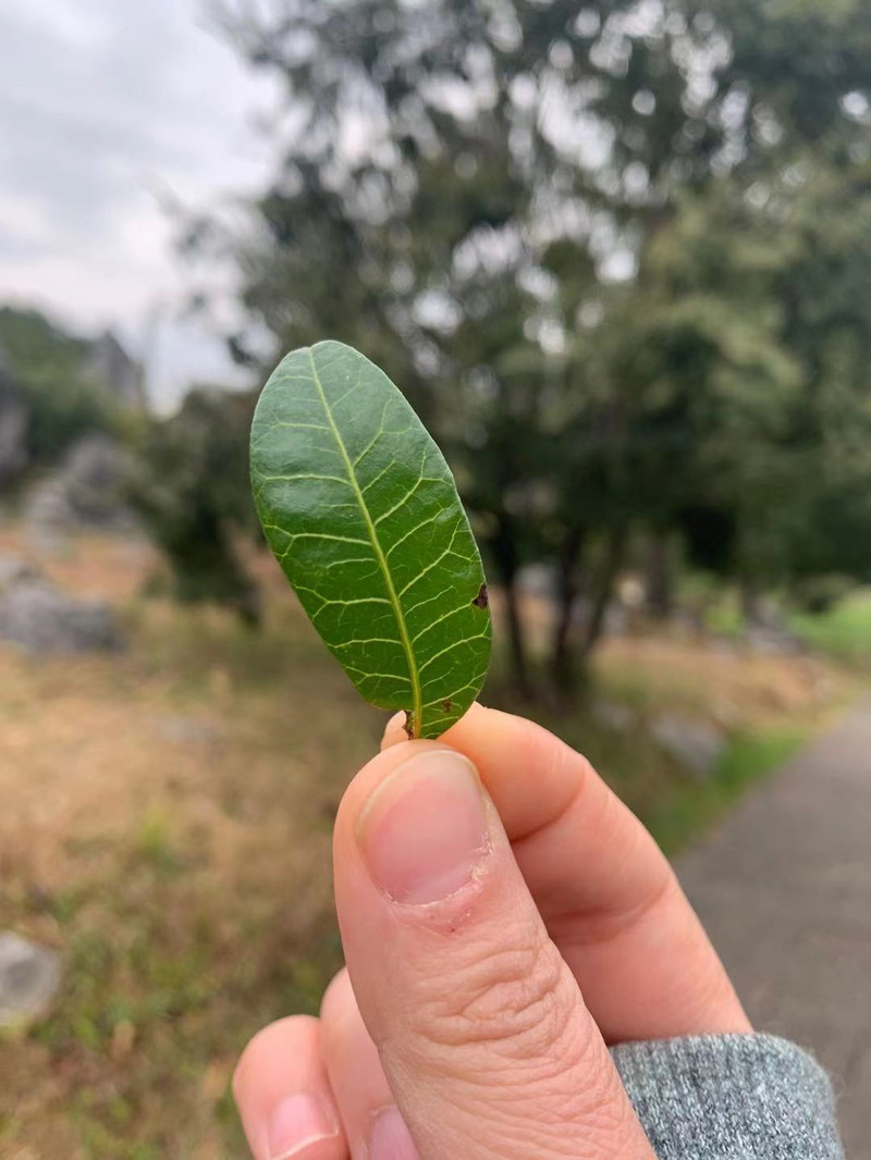 昆明旅游网