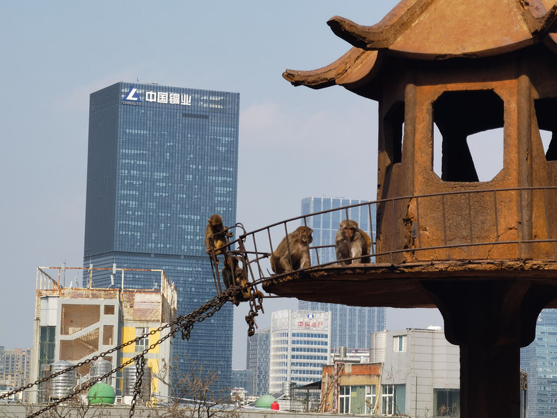 昆明旅游网