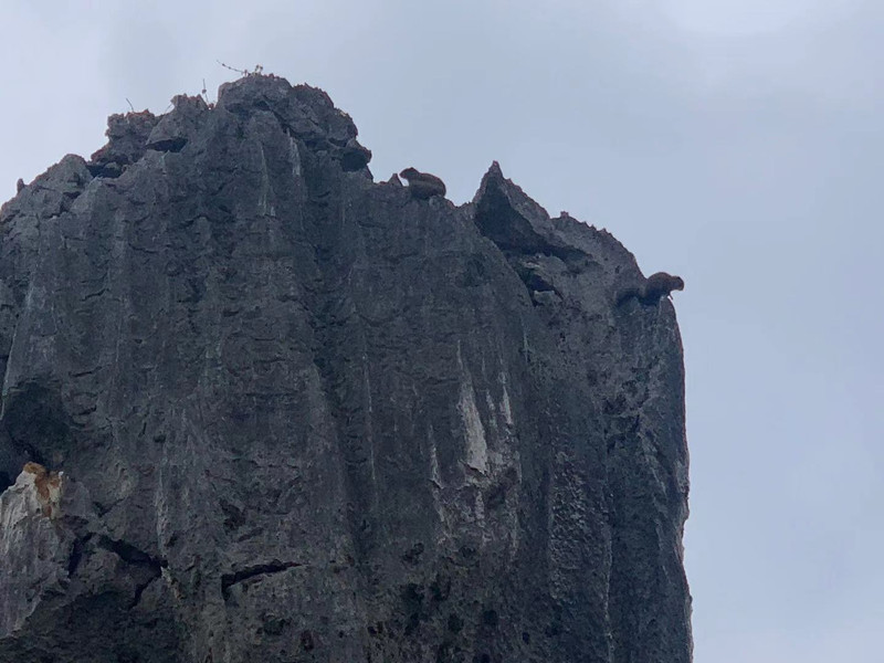 昆明旅游网