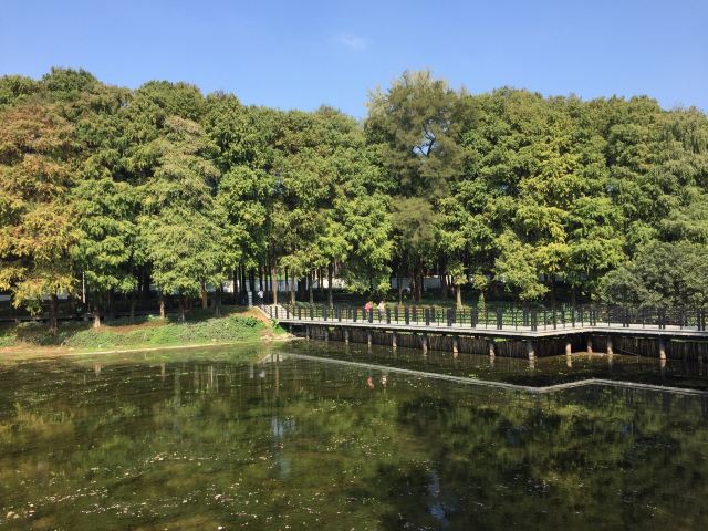 廣州麓湖公園攻略,廣州麓湖公園門票/遊玩攻略/地址/圖片/門票價格