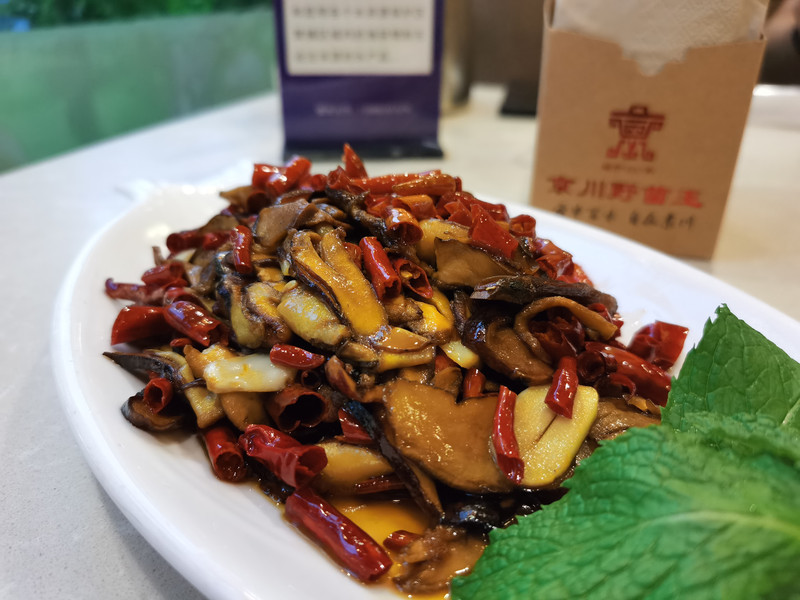 昆明旅游网