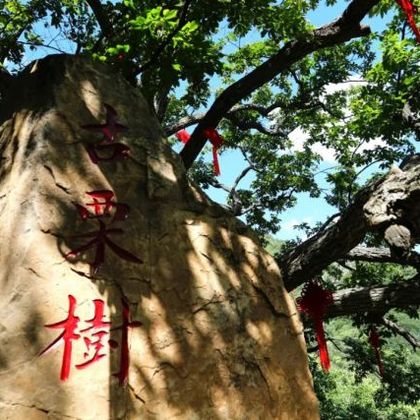 北京梨树沟休闲谷一日游