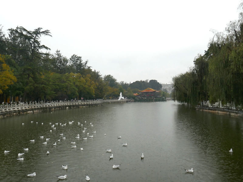 昆明旅游网