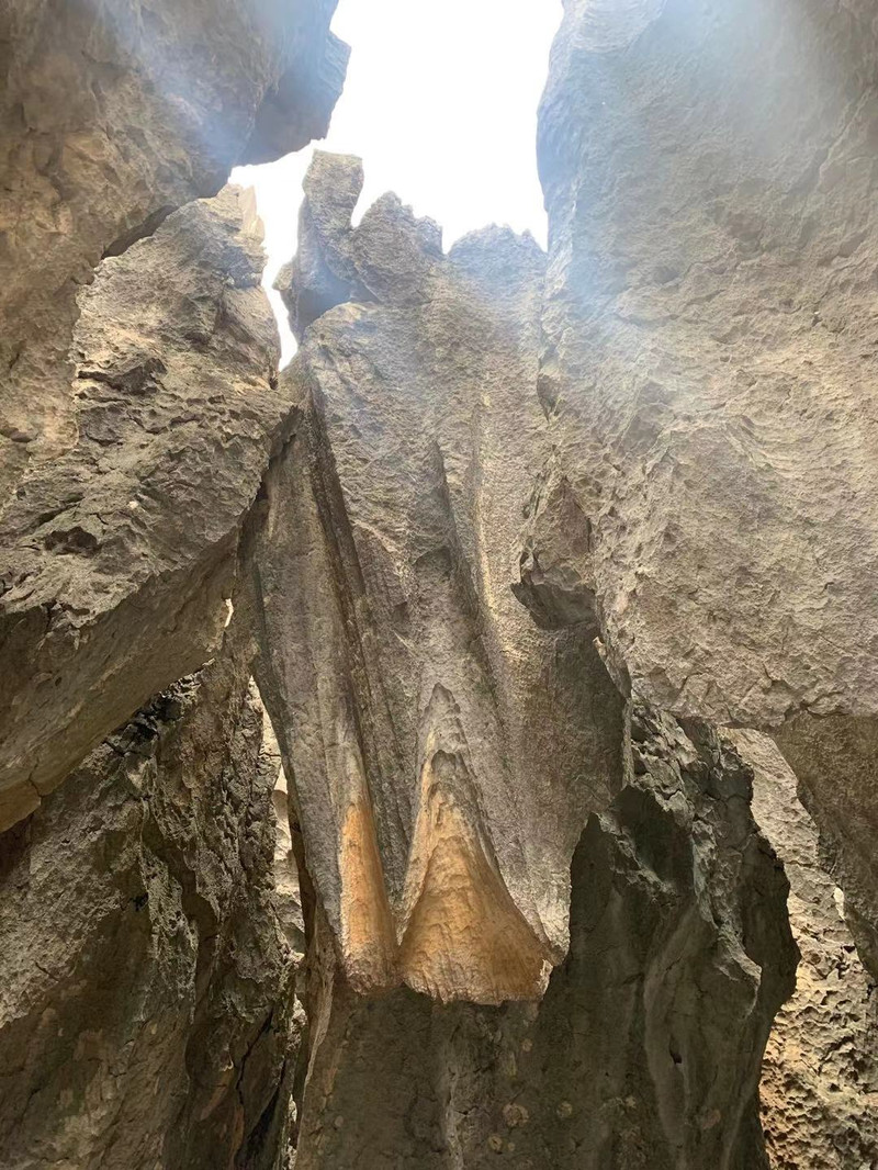 昆明旅游网