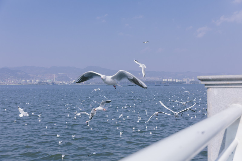 昆明旅游网
