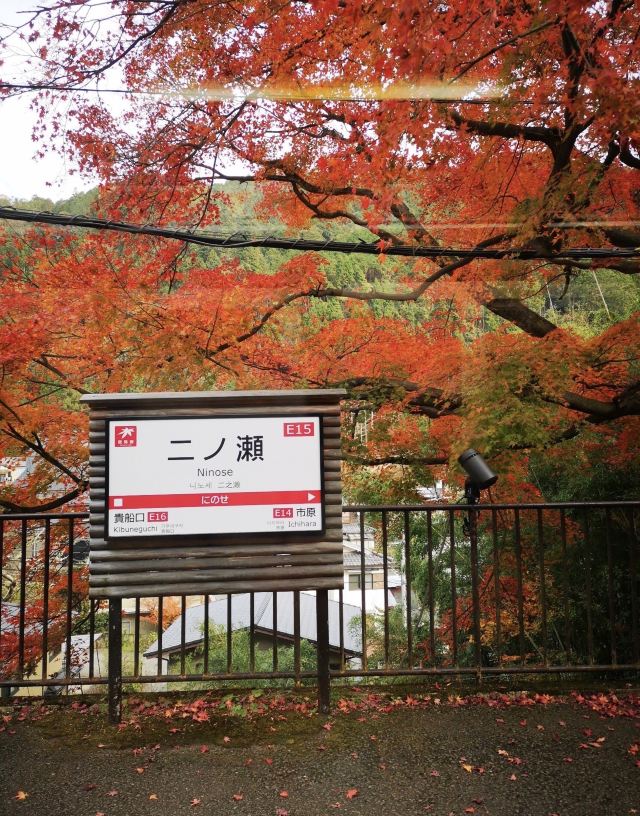 京都红叶隧道游玩攻略简介 京都红叶隧道门票 地址 图片 开放时间 照片 门票价格 携程攻略 京都红叶隧道游玩攻略简介 京都红叶隧道门票 地址 图片 开放时间 照片 门票价格 携程攻略