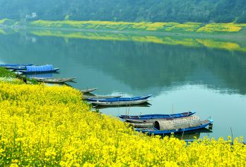 新安江山水画廊+徽州古城纯玩跟团1日游【黄山市区酒店免费上门接送，天天发班，纯玩团，出行无忧忧虑】