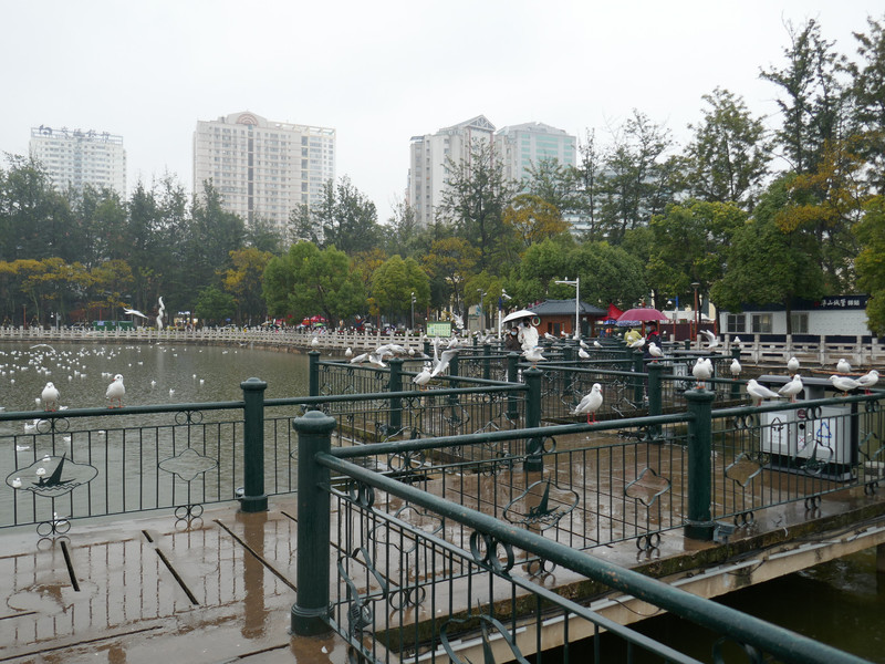 昆明旅游网
