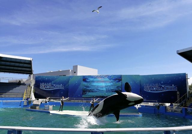 迈阿密水族馆