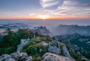 崂山风景区仰口+太清一日游/单老人票/应届生票【醉美环海公路，打卡网红青山渔村，感受独特的崂山沿海超美景色体验。】