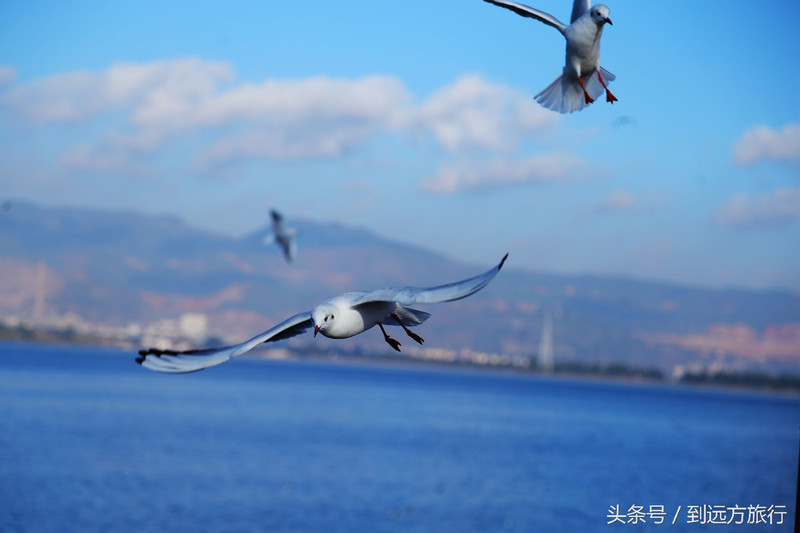 昆明旅游网