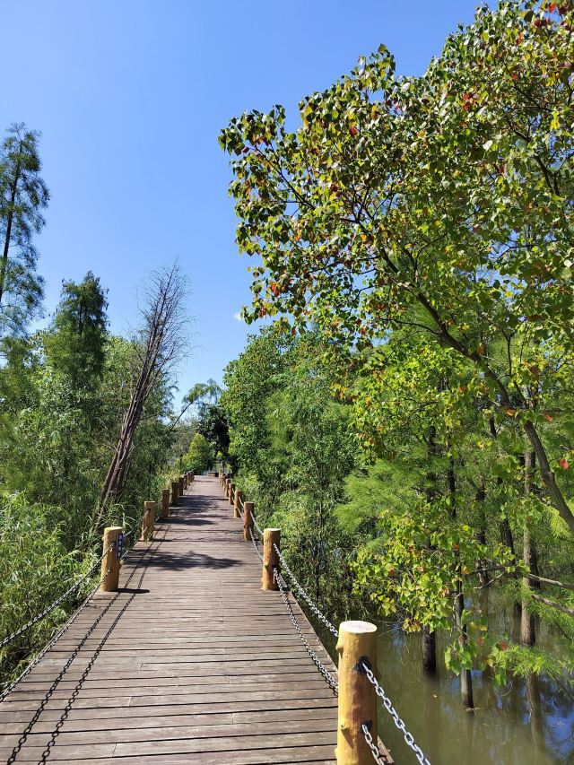 青山湖國家溼地公園