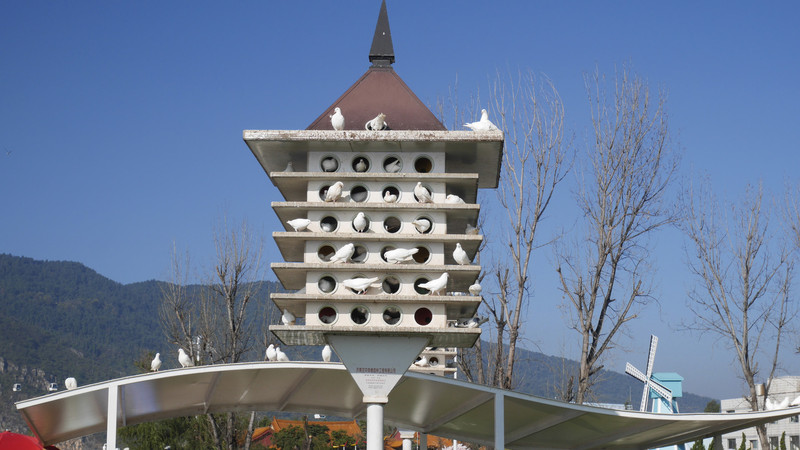 昆明旅游网