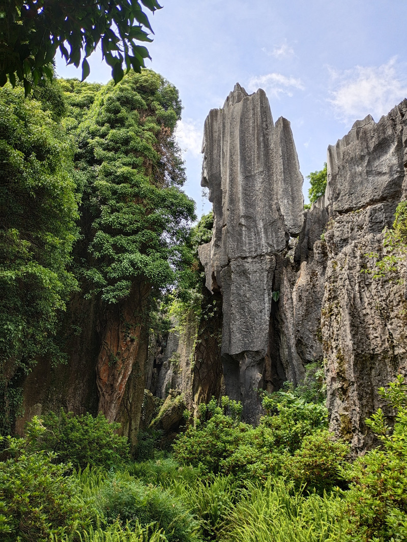 昆明旅游网