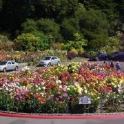 旧金山温室花园攻略 温室花园门票价格多少钱 团购票价预定优惠 景点地址图片 携程攻略
