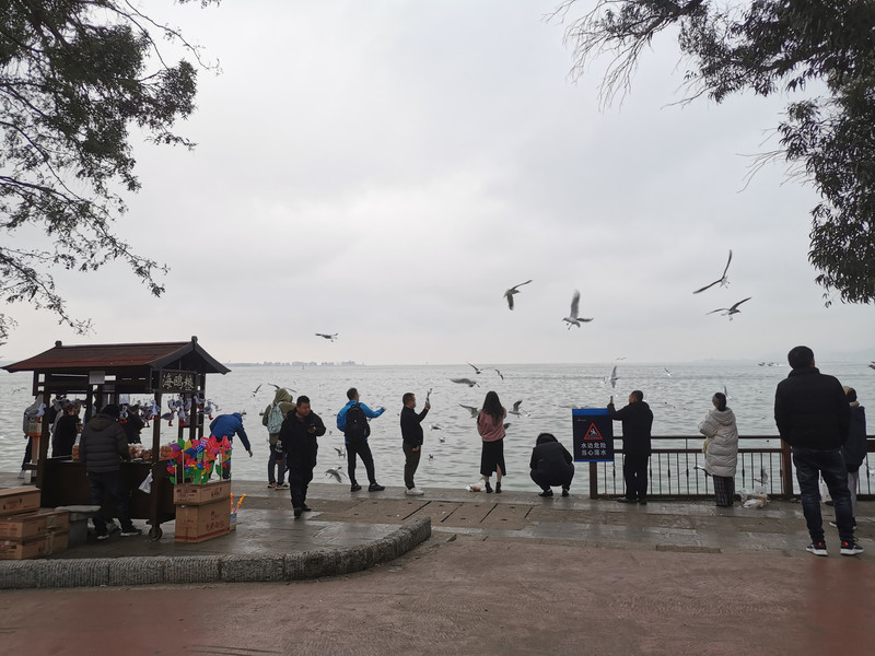 昆明旅游网