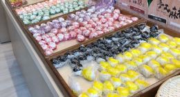 曾师傅正手工麻糬 花莲火车站站前店 曾师傅正手工麻糬 花莲火车站站前店