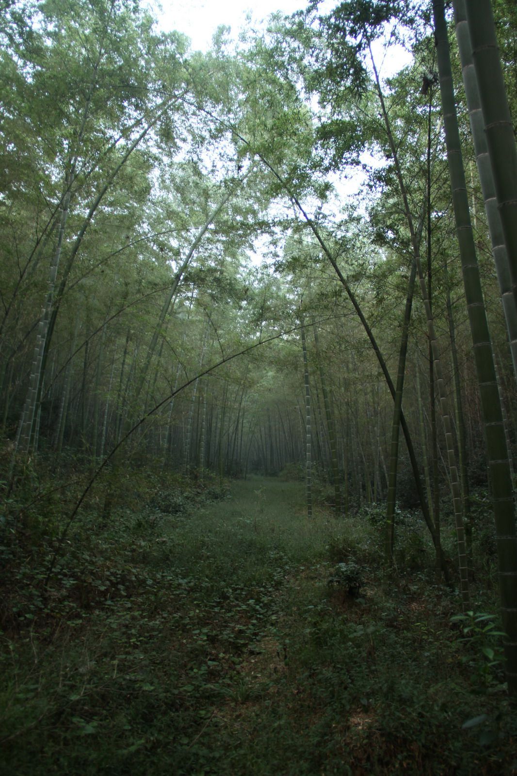 药山寺