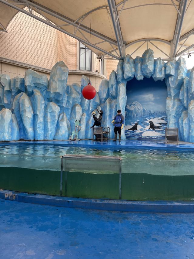 绍兴镜湖湿地海洋世界攻略,绍兴镜湖湿地海洋世界门票/游玩攻略/地址