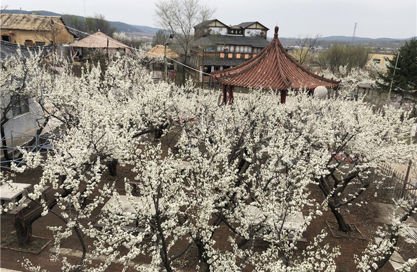 花果山神秘谷风景区