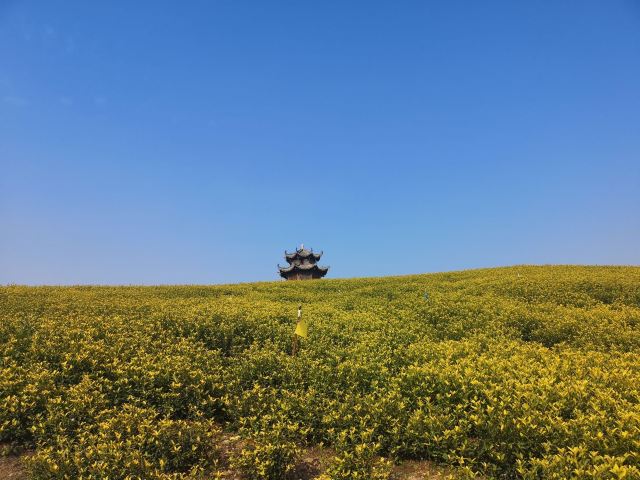 安徽郎溪大佛山养心谷