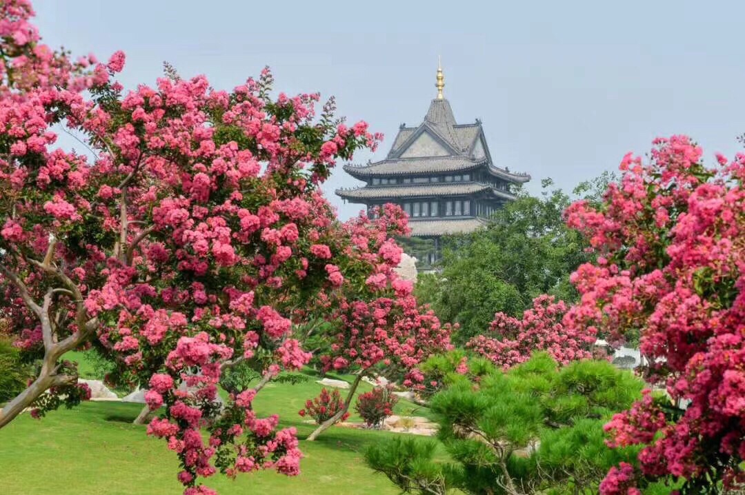 龙腾花舞风景区