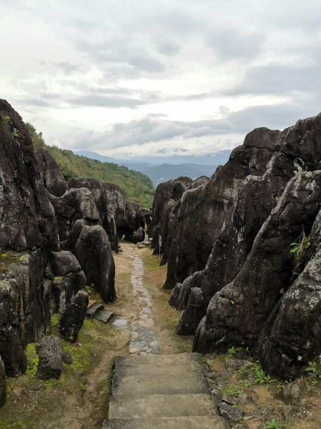 宜都市奥陶纪石林景区