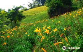 台中沐心泉休闲农场天气预报 历史气温 旅游指数 沐心泉休闲农场一周天气预报 携程攻略