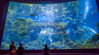 海底环游