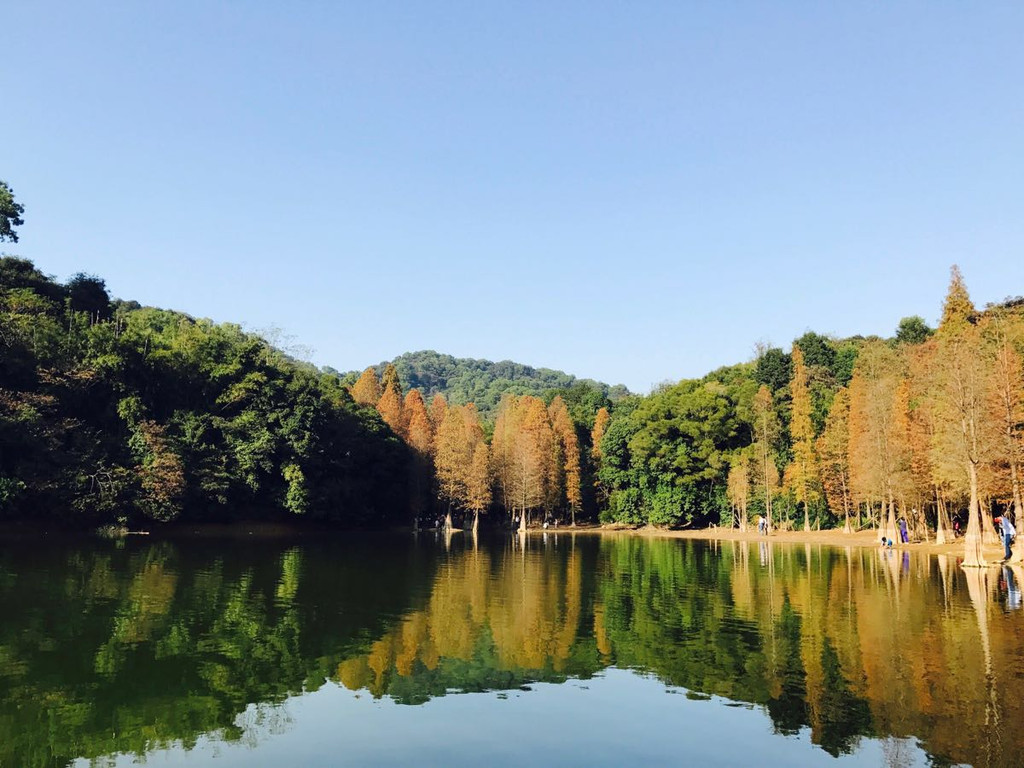 廣州白雲山黃婆洞水庫,冬日暖陽