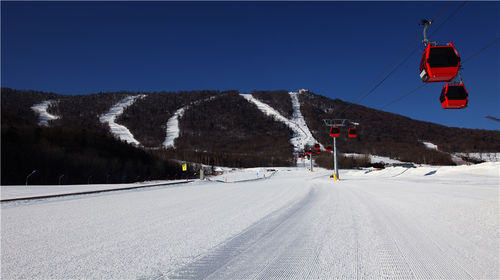 阳光滑雪场雪道图片