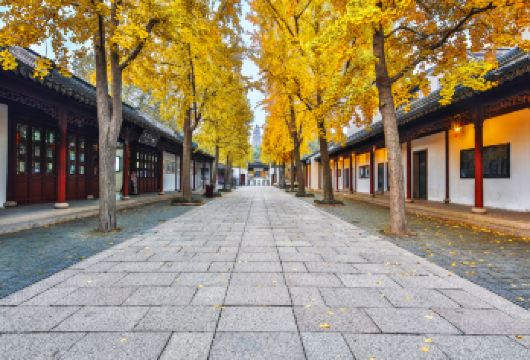 【纯玩多地出发】苏州拙政园+狮子林+寒山寺+山塘街一日游【苏-苏州出发地， 沪-上海出发 请知晓谢谢！】