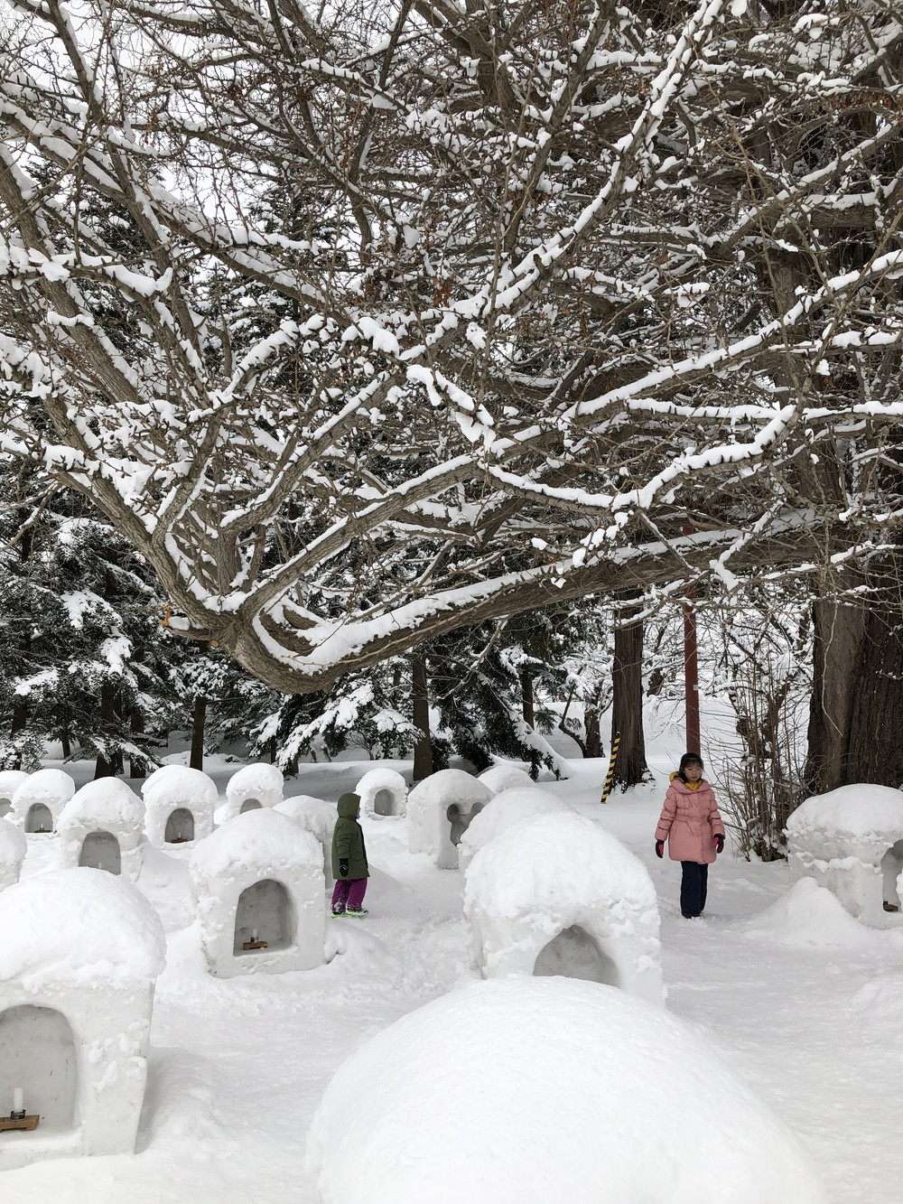 日本冬游玩雪好去处 青森县 青森县游记攻略 携程攻略