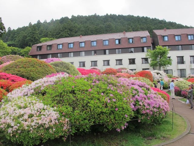 箱根芦之汤花园