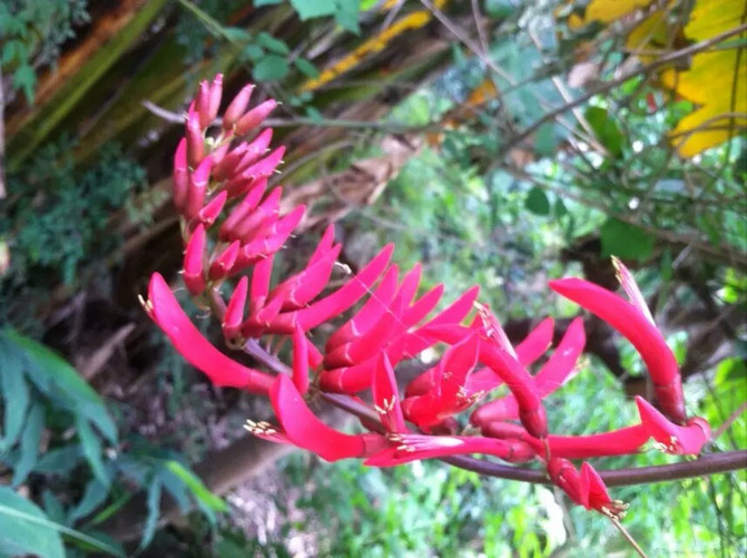 成都逛吃全攻略(附1-4天大成都游玩路线) - 成都