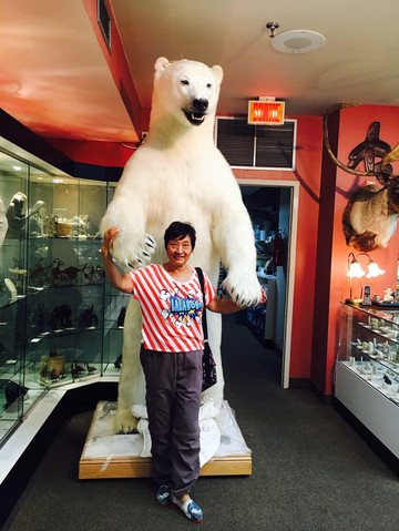 北极没有去,北极熊没有看到,不过这个北极熊可以让我拥抱一下,.