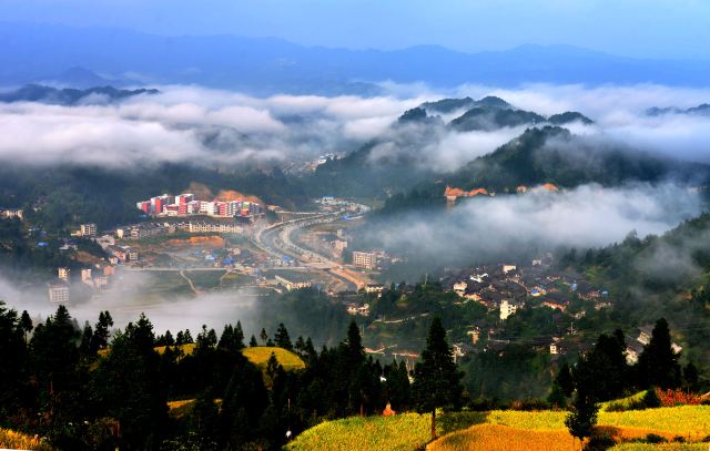 雷山雷公山攻略,雷山雷公山门票/游玩攻略/地址/图片/门票价格【携程