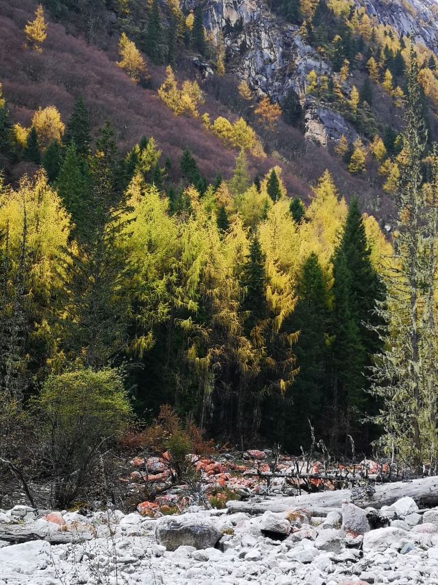 四姑娘山红石阵攻略,四姑娘山红石阵门票/游玩攻略/地址/图片/门票