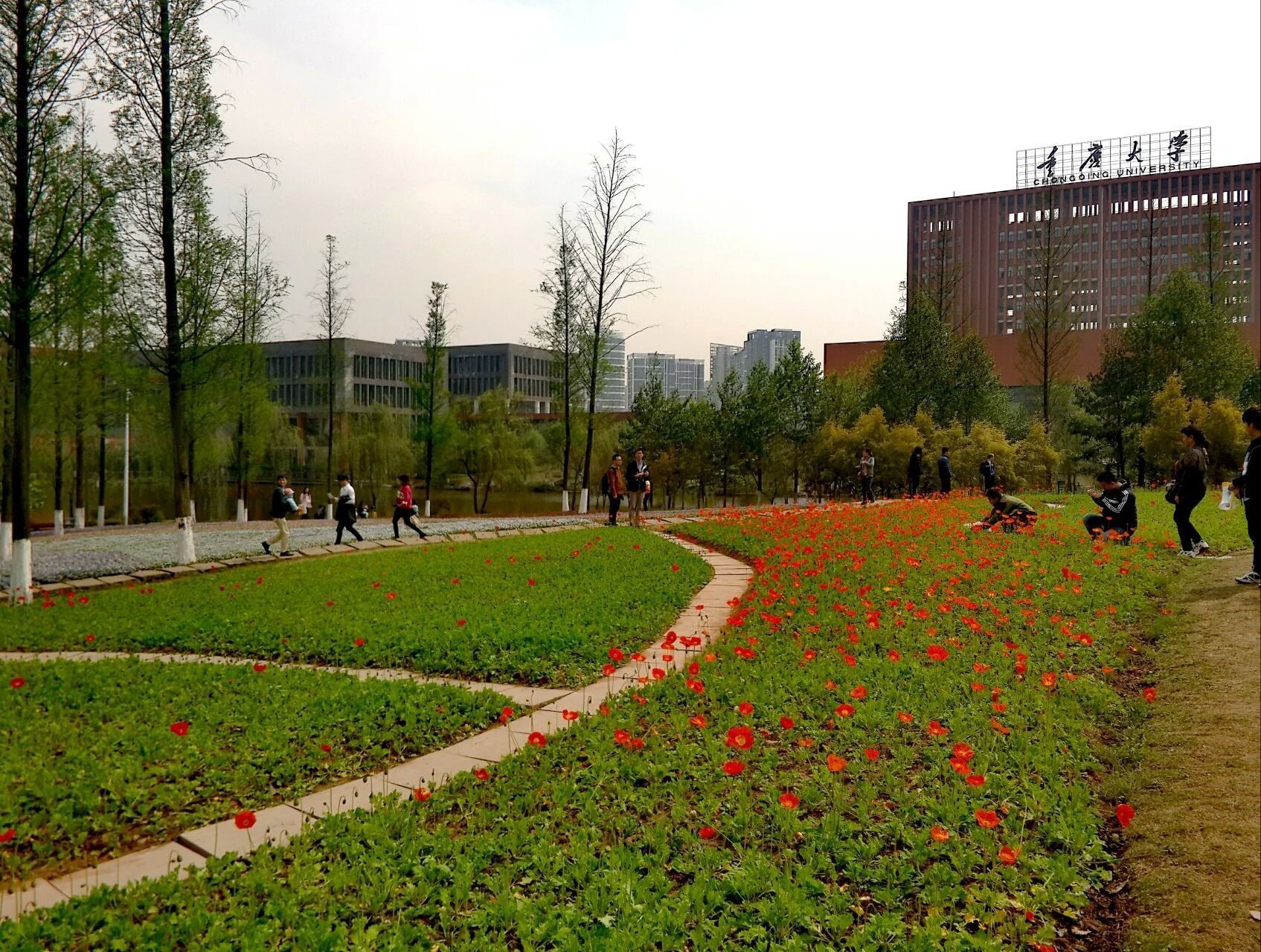 重庆大学植物园
