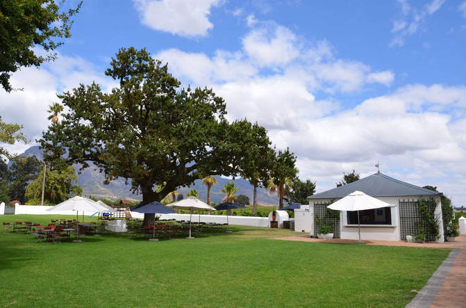 彩虹之国南非之旅 - 南非游记攻略