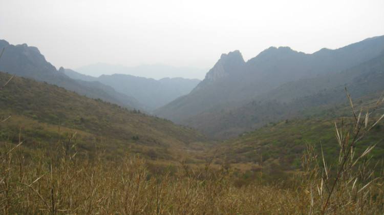 高山坪古驿道