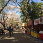 埼玉市大宫第二公园攻略 大宫第二公园门票价格多少钱 团购票价预定优惠 景点地址图片 携程攻略