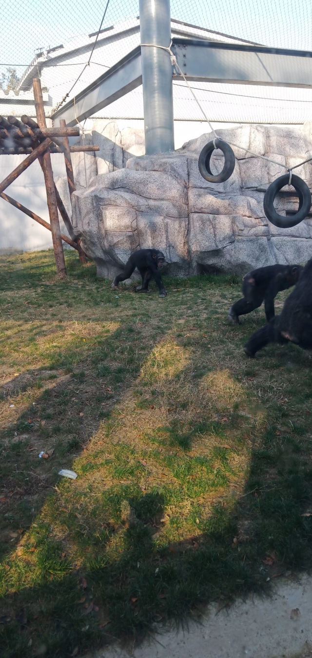 南山公园动物园