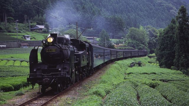 樱花号等列车,会挂上"sakura"(樱花)专门列车的牌子;而关东的小凑铁道