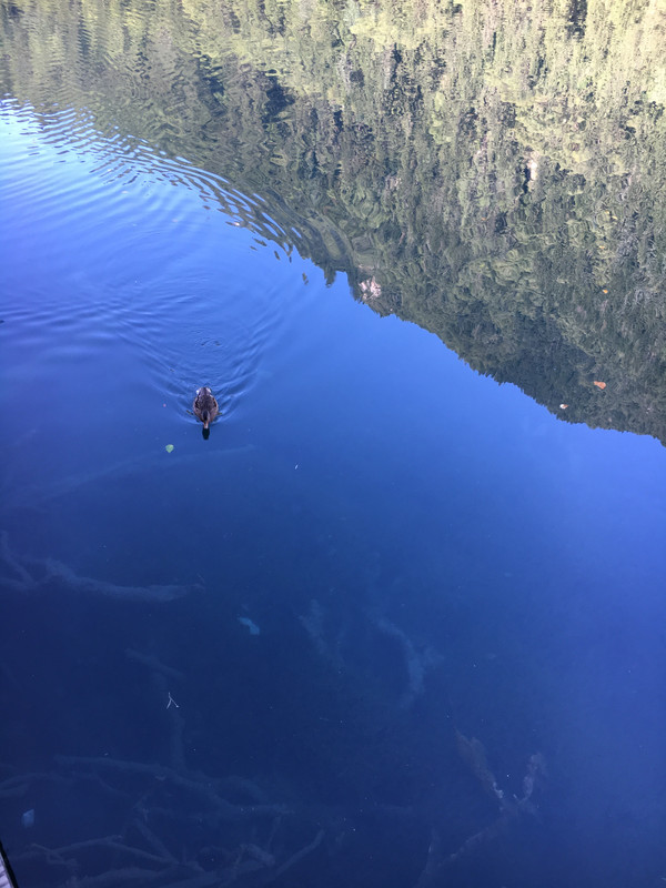 成都、峨眉、九寨沟八日游(7. 九寨天堂)