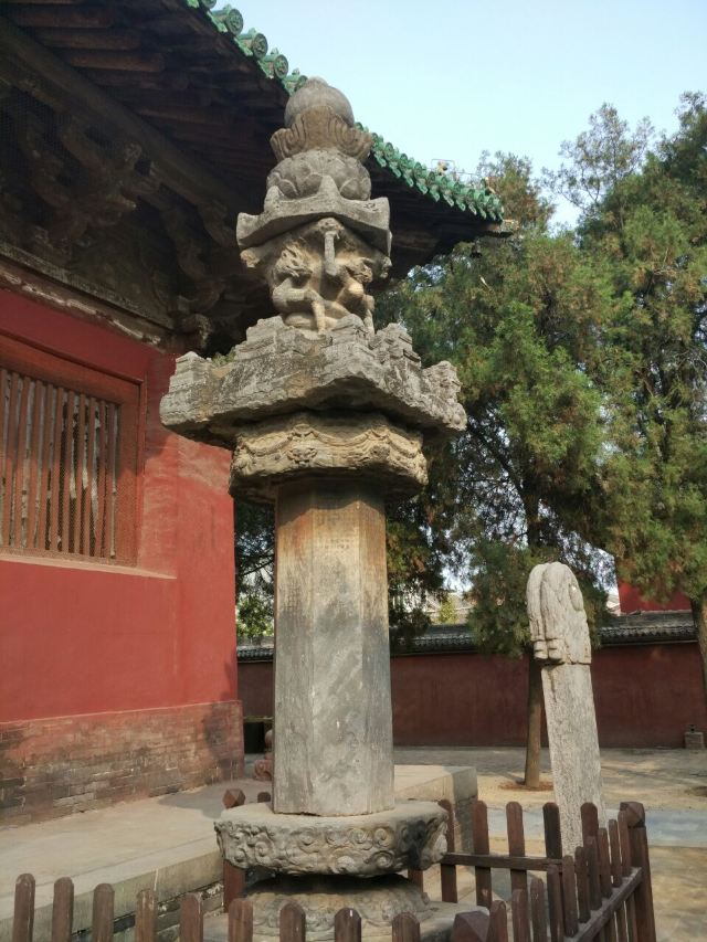 温县慈胜寺攻略,温县慈胜寺门票/游玩攻略/地址/图片/门票价格【携程