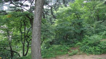 hellorf_2234938600