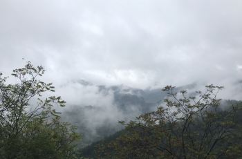 10040w000000k4m6t74C1_C_350_230.jpg